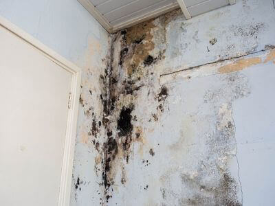 About Blue Line Recovery - water damage restoration experts in Vaughan